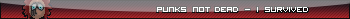Punks not dead