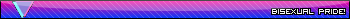 Bi Pride