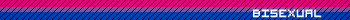 bisexual and proud