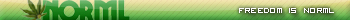 NORML