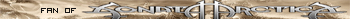 Fan of Sonata Arctica