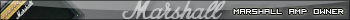 Marshall Amp owner