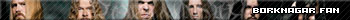 Borknagar