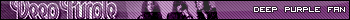 Deep Purple Fan