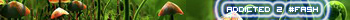#fash_mushroom