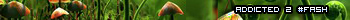#fash_mushrooms2