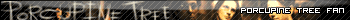 porcupinetree.gif