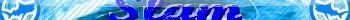 slam bleuu