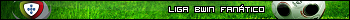 Liga Bwin