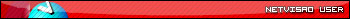Netvisao