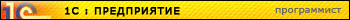 1C programmer
