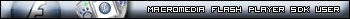 Macromedia Flash Player SDK