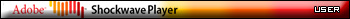 Adobe Shockwave Player