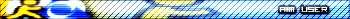 AIM USER