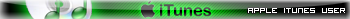 Apple iTunes User