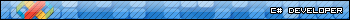 C# Developer
