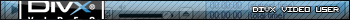 DivX Video