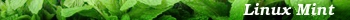 Linux Mint