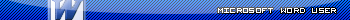 Microsoft Word User