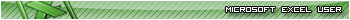 Microsoft Excel User