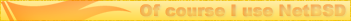 NetBSD (Gold)