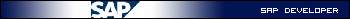 SAPdeveloper