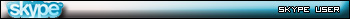 Skype User