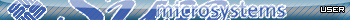 Sun Microsystems