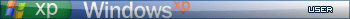 Windows XP User