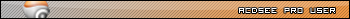 acdsee pro user