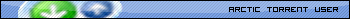 Arctic Torrent User