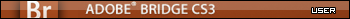 adobe Bridge CS3 user