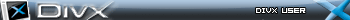 Divx User