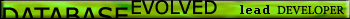 lead develiper