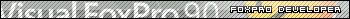 microsoft visual foxpro developer
