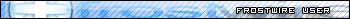 Frostwire user