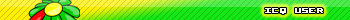icq user