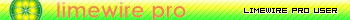 LimeWire Pro User