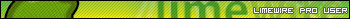 Limewire Pro Scans