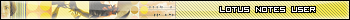 Lotus Notes User