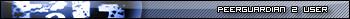 PeerGuardian 2 User
