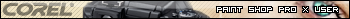 Paint Shop Pro X