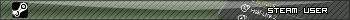 Steam User
