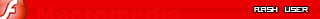 macromedia flash