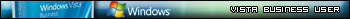 Microsoft Windows Vista Business
