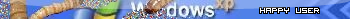 Windows  ;-(