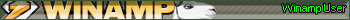 Winamp user