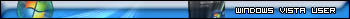 Windows vista user