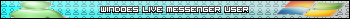Windows live messenger user