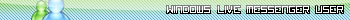Windows Live Messenger User